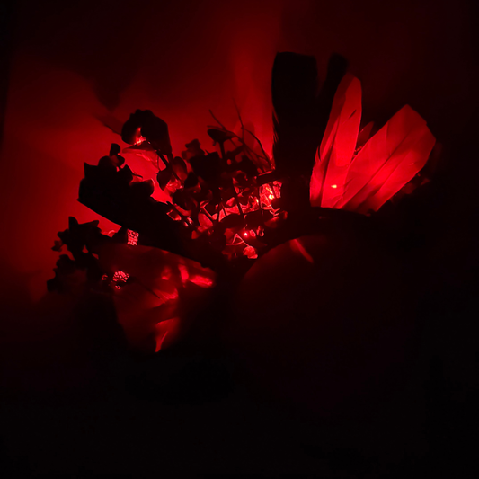 Ash Na'vi MB Mouse Ears